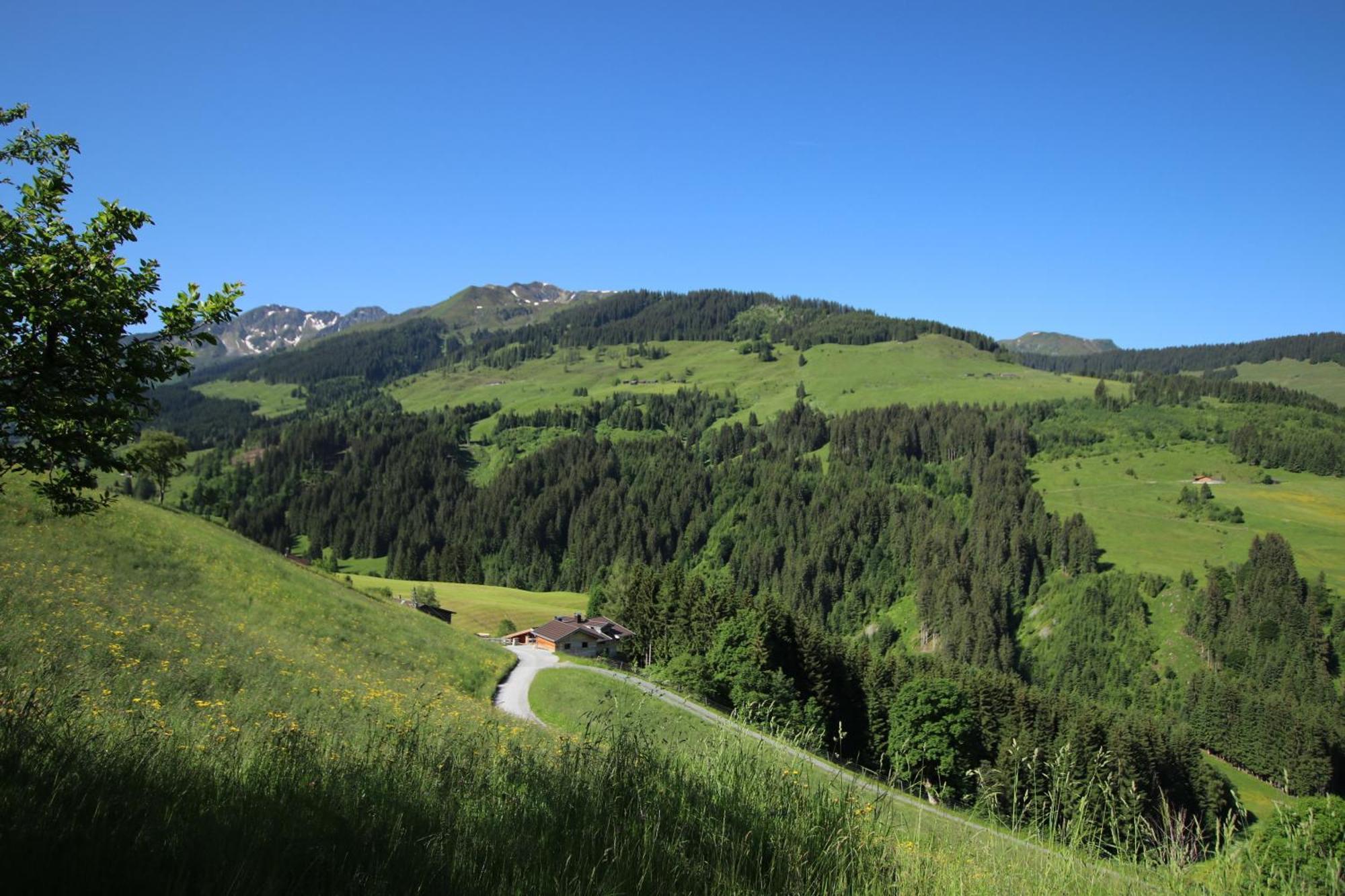 Ferienwohnung Bergpanorama Wild600 Schwarzenau (Kufstein) Exterior foto