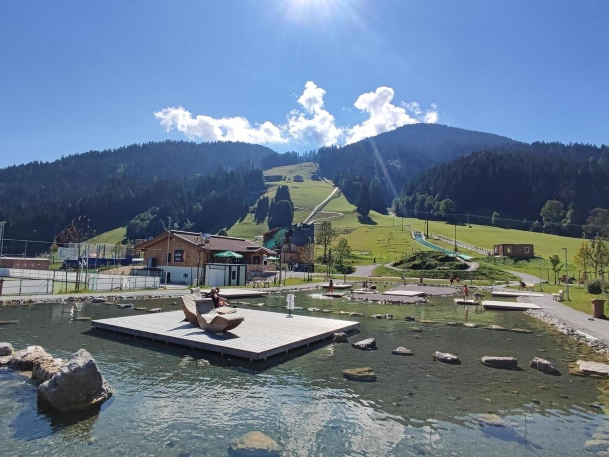 Ferienwohnung Bergpanorama Wild600 Schwarzenau (Kufstein) Exterior foto